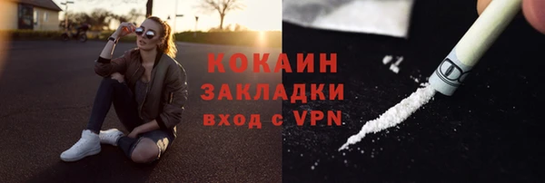 прущие грибы Новокубанск
