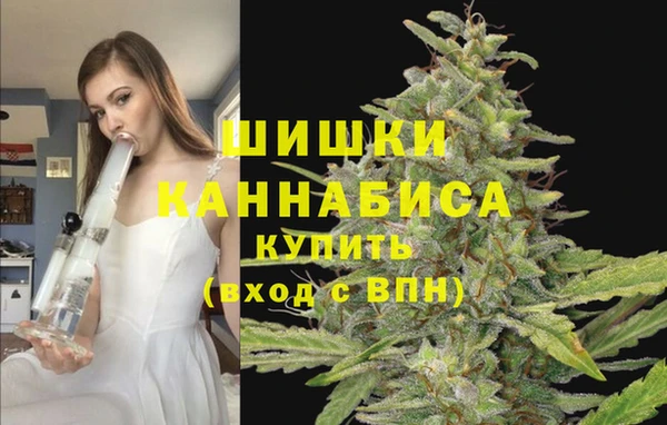 прущие грибы Новокубанск