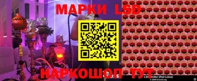 СК Гусев
