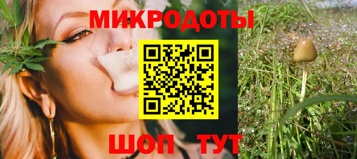 Галлюциногенные грибы Psilocybe  Галлюциногенные грибы прущие грибы  Жуковский  Вход с VPN 