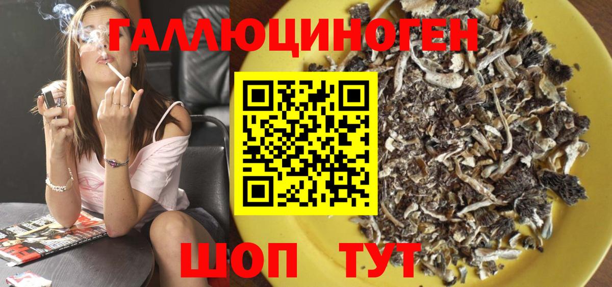 Галлюциногенные грибы Cubensis  Жуковский  Псилоцибиновые грибы Cubensis 